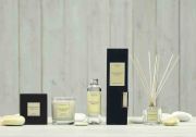 Dyfuzor Santiago Reed 100ml. Madagascar van / Cereria Molla