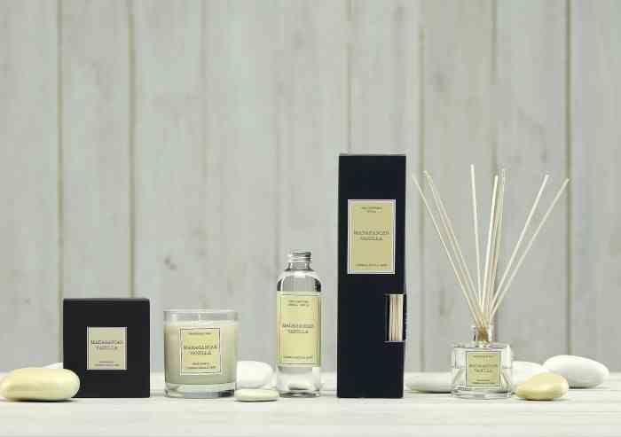 Dyfuzor Santiago Reed 100ml. Madagascar van / Cereria Molla