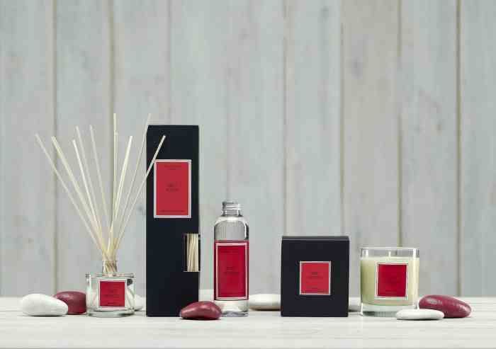 Dyfuzor Santiago Reed 100ml. Red fruits / Cereria Molla