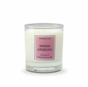 Świeca Santiago 230gr. Nordic angelica / Cereria Molla