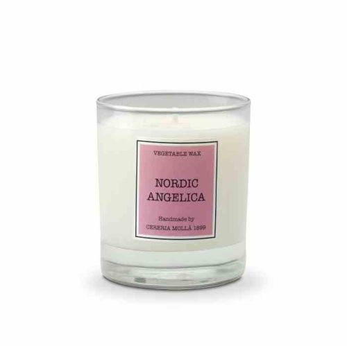 Świeca Santiago 230gr. Nordic angelica / Cereria Molla