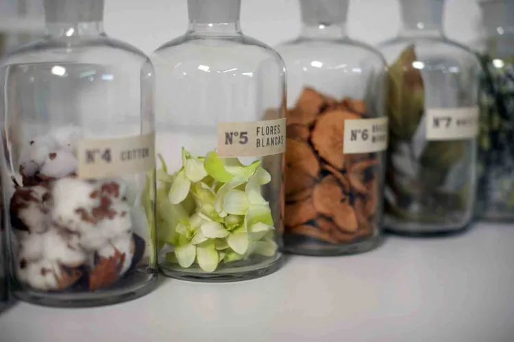Świeca Santiago 230gr. Red fruits / Cereria Molla