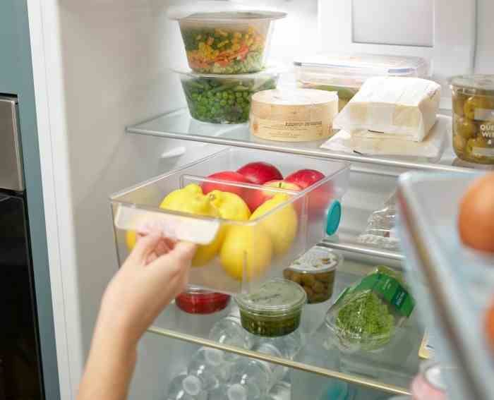 Pojemnik/organizer L do lodówki FridgeStore / Joseph Joseph