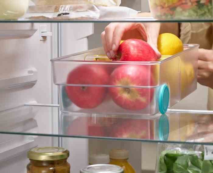 Pojemnik/organizer L do lodówki FridgeStore / Joseph Joseph