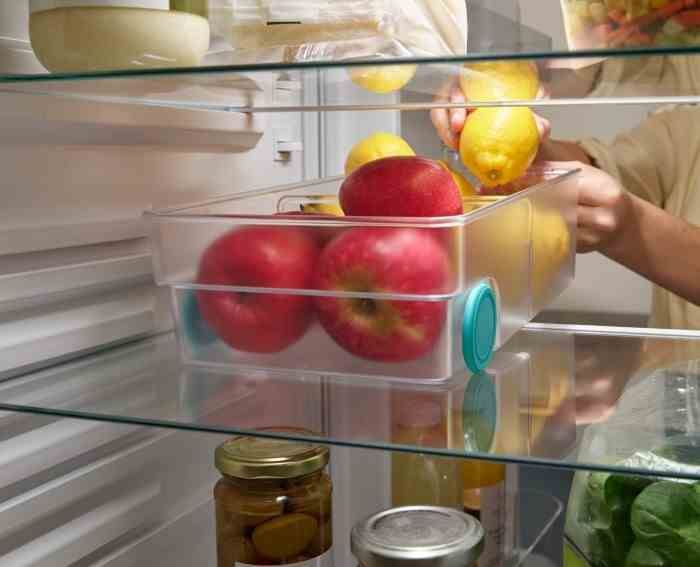 Pojemnik/organizer L do lodówki FridgeStore / Joseph Joseph
