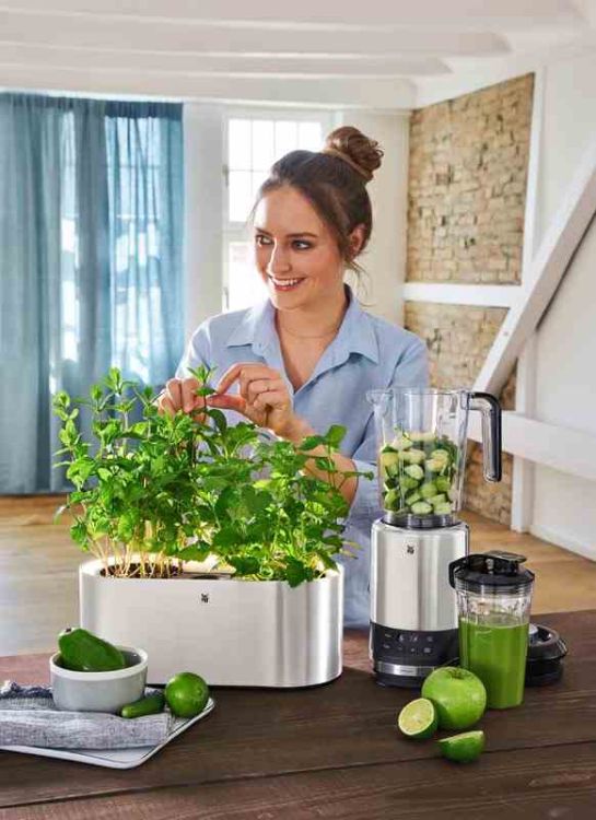Blender wielofunkcyjny, Kult Pro / WMF