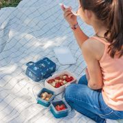 Lunchbox dla dzieci Tresor 0,75L Wolf / Monbento