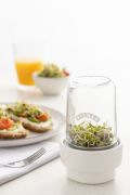 Kiełkownica / Kilner