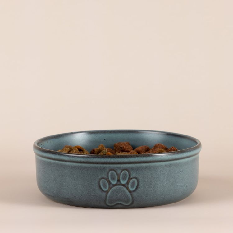 Miska dla zwierzaka 18cm Reactive Paw / Mason Cash