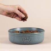 Miska dla zwierzaka 18cm Reactive Paw / Mason Cash