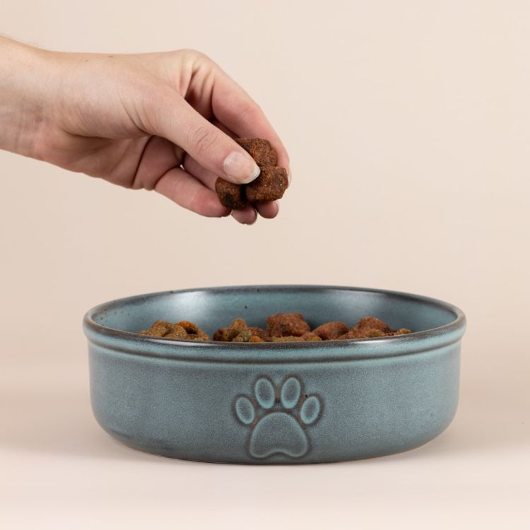 Miska dla zwierzaka 18cm Reactive Paw / Mason Cash