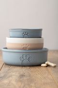 Miska dla zwierzaka 18cm Reactive Paw / Mason Cash