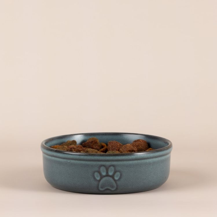 Miska dla zwierzaka 15cm Reactive Paw / Mason Cash
