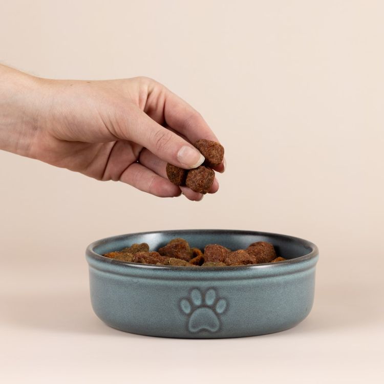 Miska dla zwierzaka 15cm Reactive Paw / Mason Cash