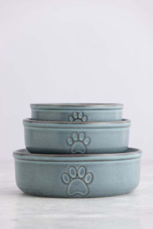 Miska dla zwierzaka 15cm Reactive Paw / Mason Cash