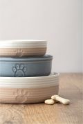 Miska dla zwierzaka 15cm Reactive Paw / Mason Cash