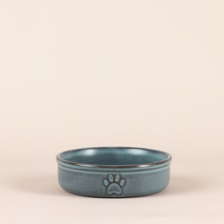 Miska dla zwierzaka 13cm Reactive Paw / Mason Cash