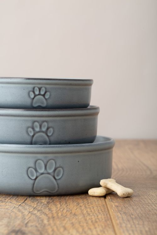 Miska dla zwierzaka 13cm Reactive Paw / Mason Cash