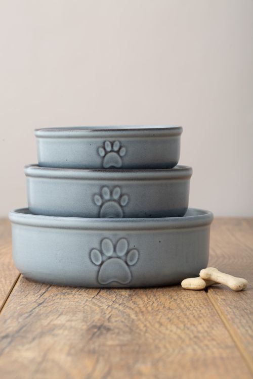 Miska dla zwierzaka 13cm Reactive Paw / Mason Cash