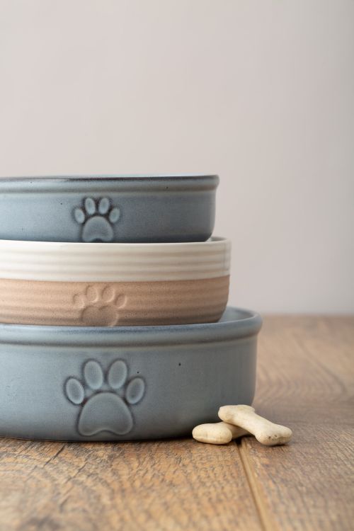 Miska dla zwierzaka 13cm Reactive Paw / Mason Cash