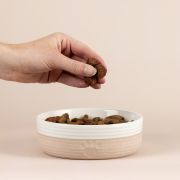 Miska dla zwierzaka 15cm Heatr Paw / Mason Cash