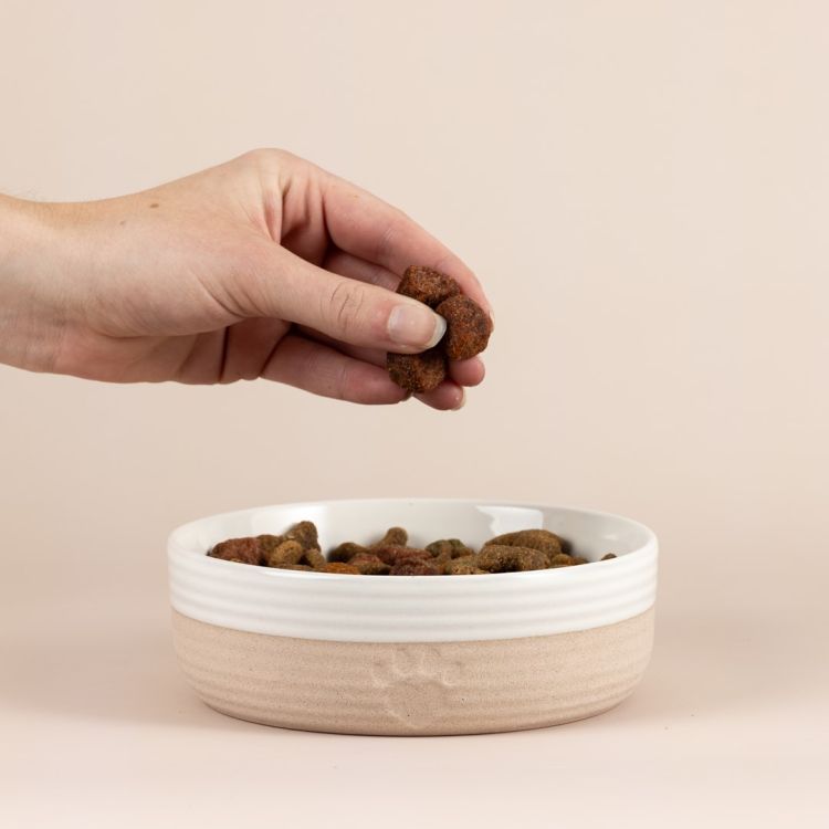 Miska dla zwierzaka 15cm Heatr Paw / Mason Cash