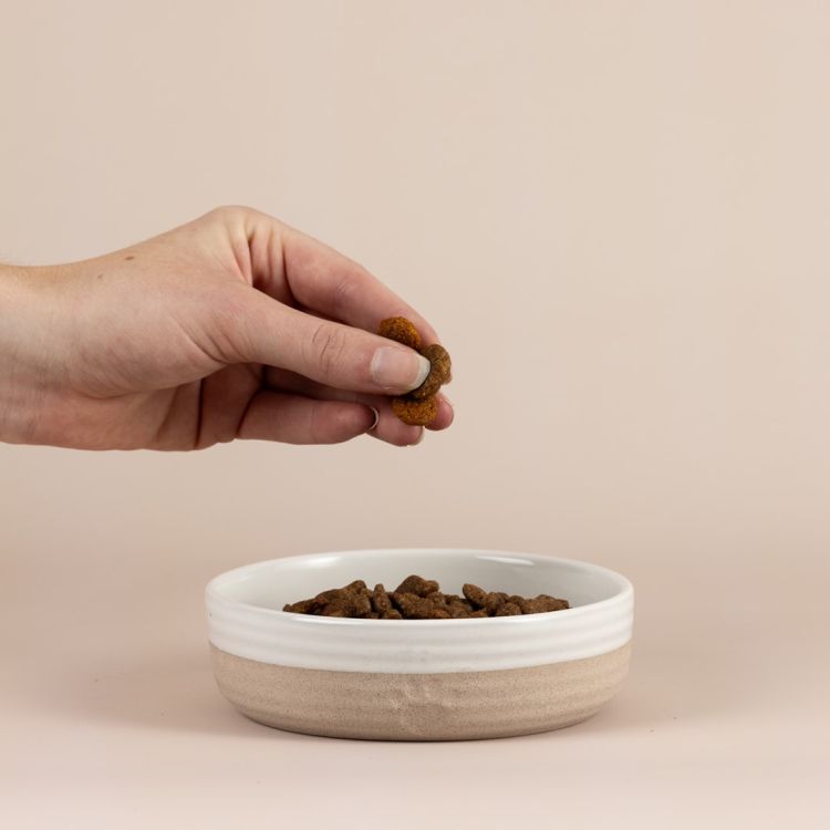 Miska na karme dla zwierzaka 12,5cm Heart Paw / Mason Cash