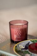 Świeca zapachowa 340g. In Full Bloom / Edition Fragrances