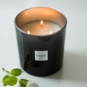 Świeca zapachowa 450g Iris Cachemire / Esteban
