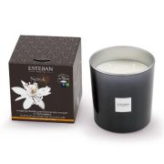 Świeca zapachowa 450g Neroli / Esteban