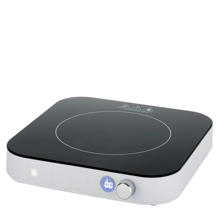 Kuchenka indukcyjna z płytą grillową Spring Elektro Line, 33 x 28 x 8 cm