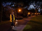 Latarka czołowa LEDLENSER H6R