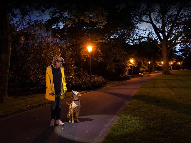 Latarka czołowa LEDLENSER H6R