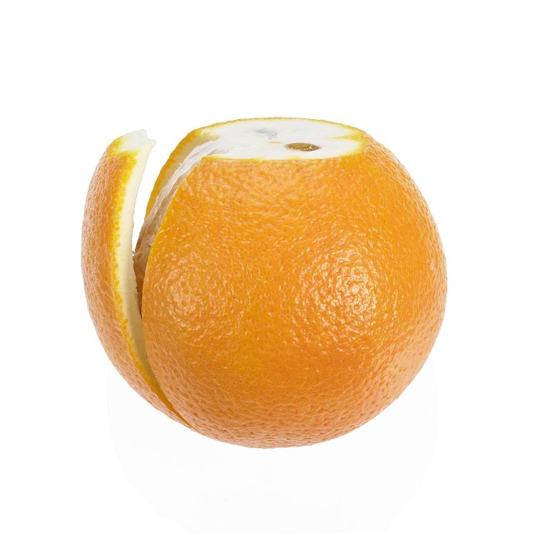 Obierak Lurch do pomarańczy, 17 cm