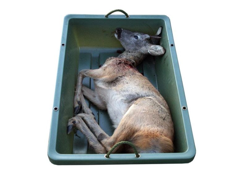 Wanna Eurohunt do przewożenia zwierzyny