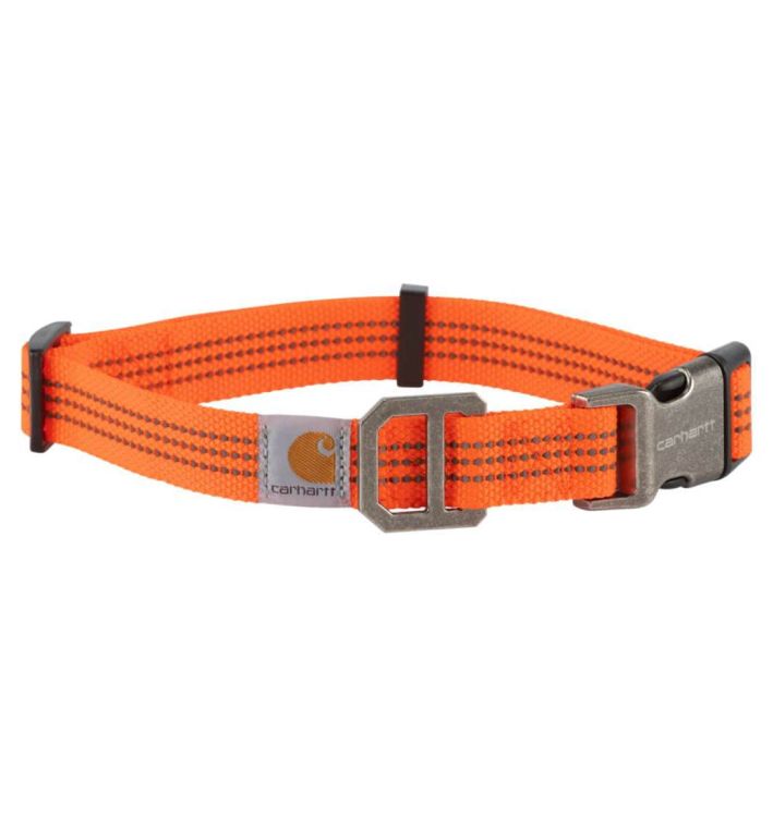 Obroża Carhartt Tradesman Dgo Collar Hi-Viz HUNTER ORANGE
